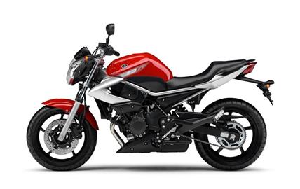 Thumbnail image for http://media.bikes.cz/Photo/img_48128O27648O132762O33O9376522OBO04507O0854O3.jpg?text=Yamaha XJ600N / S Diversion 2000-