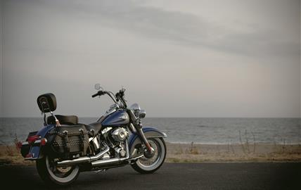 Thumbnail image for http://media.bikes.cz/Photo/img_48128O27648O141839O33O10017546OBO04507O0854O3.jpg?text=Harley-Davidson Softail Standard 1999-
