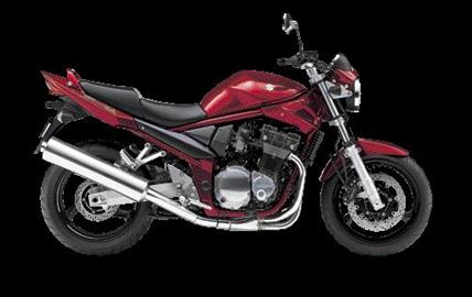 Thumbnail image for http://media.bikes.cz/Photo/img_48128O27648O145406O33O10269450OBO04507O0854O3.jpg?text=Suzuki GSF1200N/S 2001-2005