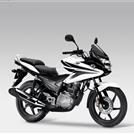Thumbnail image for http://media.bikes.cz/Photo/img_48128O27648O15573O33O1100554OBO04507O0854O3.jpg?text=Honda CBF 125