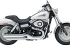 Harley-Davidson Dyna Family