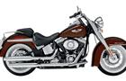 Harley-Davidson Softail Family