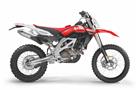 Aprilia RXV 450/550