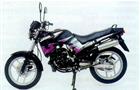 Jawa 250/593 Master