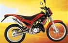 Gas Gas PAMPERA 250