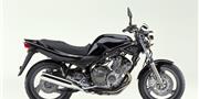 Thumbnail image for http://media.bikes.cz/Photo/img_48128O27648O146015O33O10312185OIO04507O0854O3.jpg