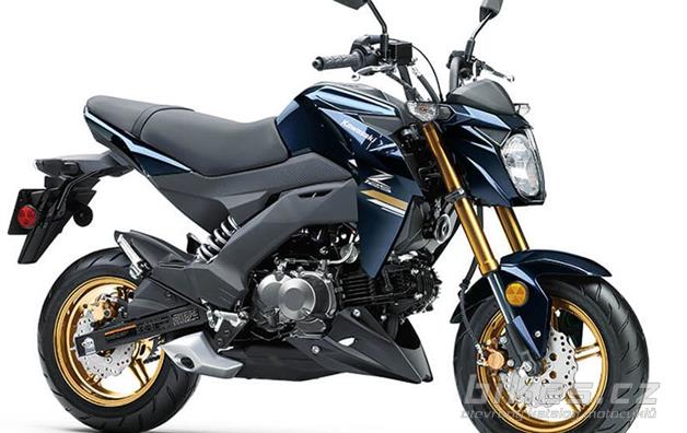 Kawasaki Z125 Pro