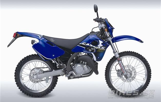 Gas Gas Pampera 250