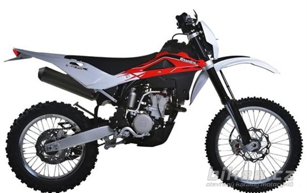 Husqvarna TE 310 R