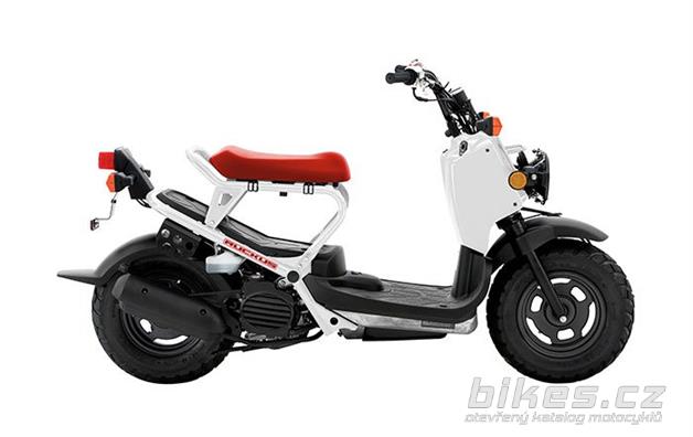 Honda Ruckus