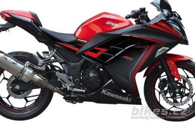 Kawasaki Ninja 250 Beet