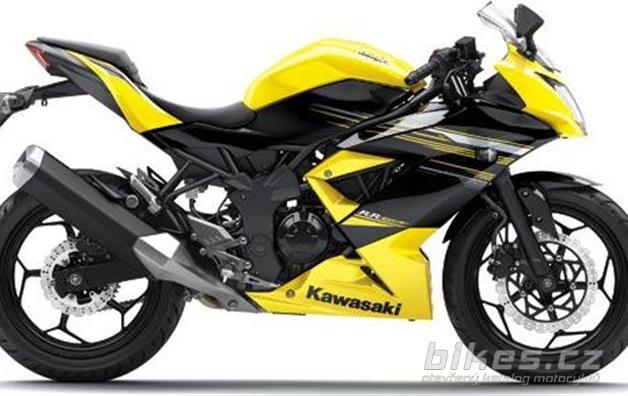 Kawasaki Ninja RR Mono ABS
