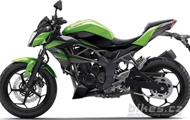 Kawasaki Z 250