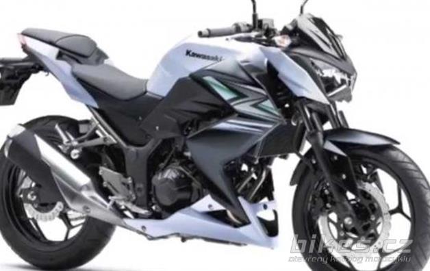 Kawasaki Z 250