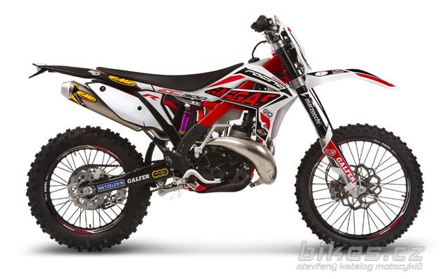 Gas Gas EC 300 Racing