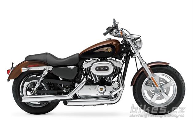 Harley-Davidson 1200 Custom 110th Anniversary