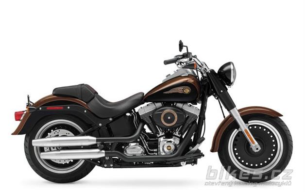 Harley-Davidson Fat Boy Lo 110th Anniversary