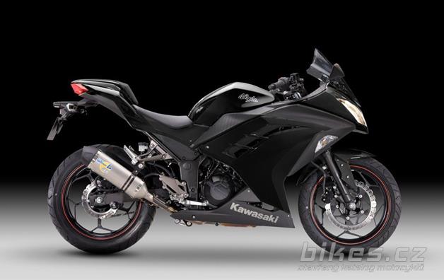 Kawasaki Ninja 300 Performance