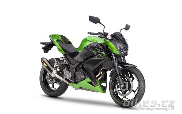 Kawasaki Z300 Performance