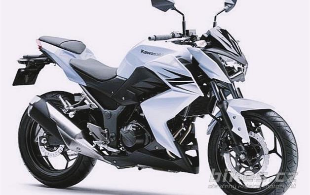 Kawasaki Z250 Special Edition