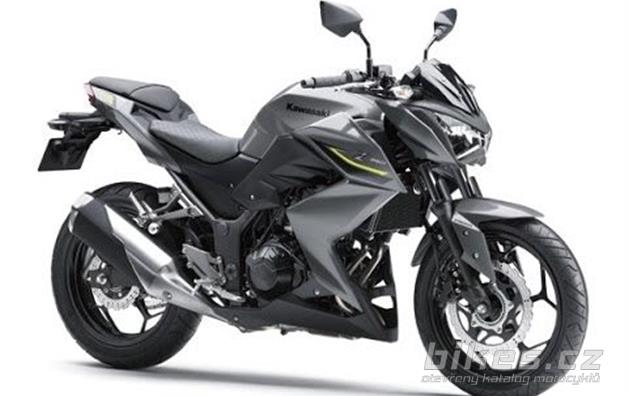 Kawasaki Z 250