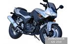 Zongshen GS 250
