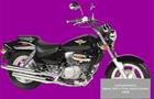 AlphaSports Alpha 250 V-Twin Sport Cruiser