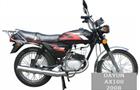 Dayun AX100