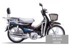 Senke SK100