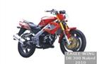 Eagle-Wing DB 300 Naked