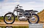 Metisse Desert Racer