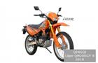 Qingqi Liger QM200GY-B
