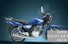 Tayo HJ125-6A Mars