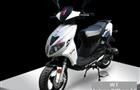 WT Motors Bilbao 50