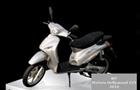 WT Motors Hollywood 125