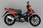 Demak DMS