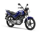 Yamaha YBR125