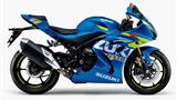 Suzuki GSX-R1000R Anniversary