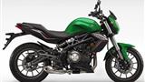 Benelli BN 302