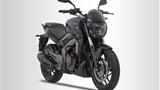 Kawasaki Dominar 400