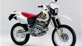 Honda XR 250 R