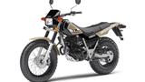 Yamaha TW200E