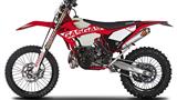 Gas Gas EnduroGP 250