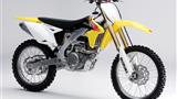 Suzuki RM-Z 450
