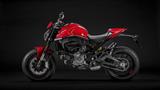 Ducati Monster
