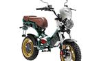 Garelli Ciclone Scout