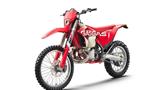 Gas Gas EC 250