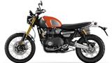 Triumph Scrambler 1200 XE Gold Line