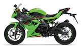 Kawasaki Ninja 125 Performance
