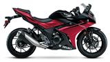 Suzuki GSX250R